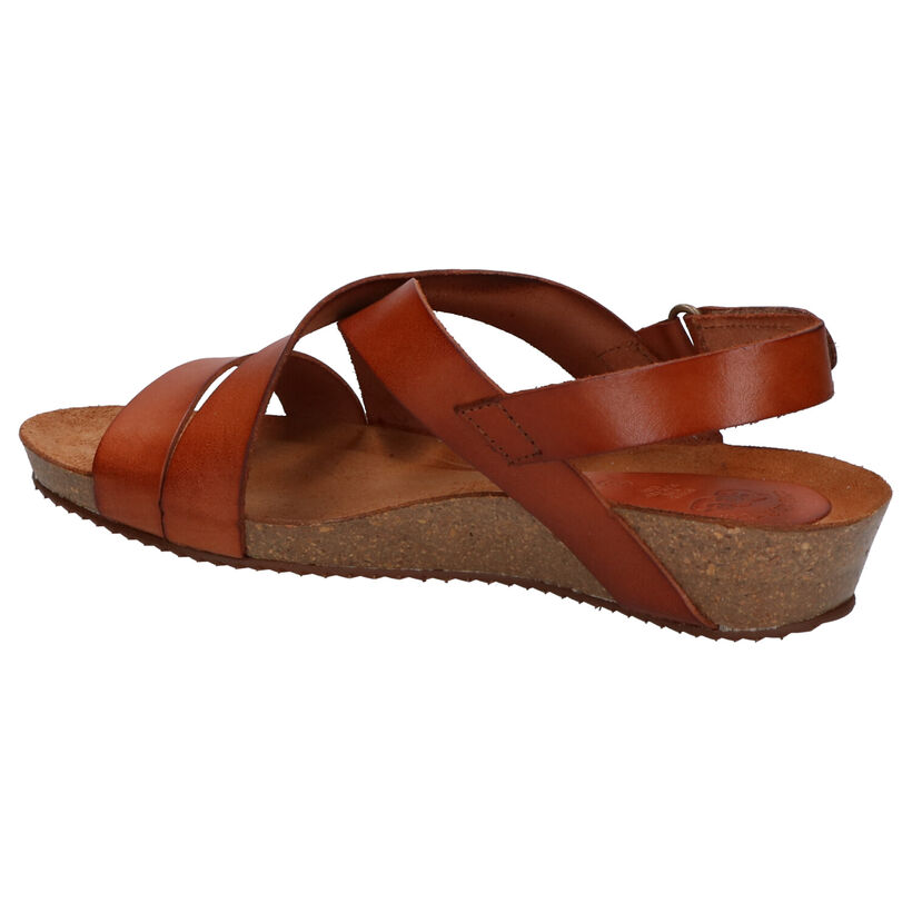 Hee Cognac Sandalen in leer (291090)