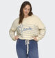 ONLY Carmakoma Carsigne Pull en Beige pour femmes (374870)