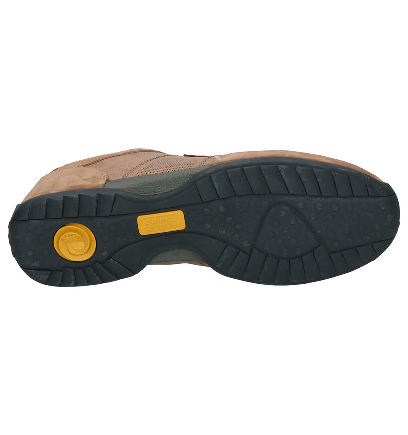 Camel Active Chaussures basses en Cognac en nubuck (271302)