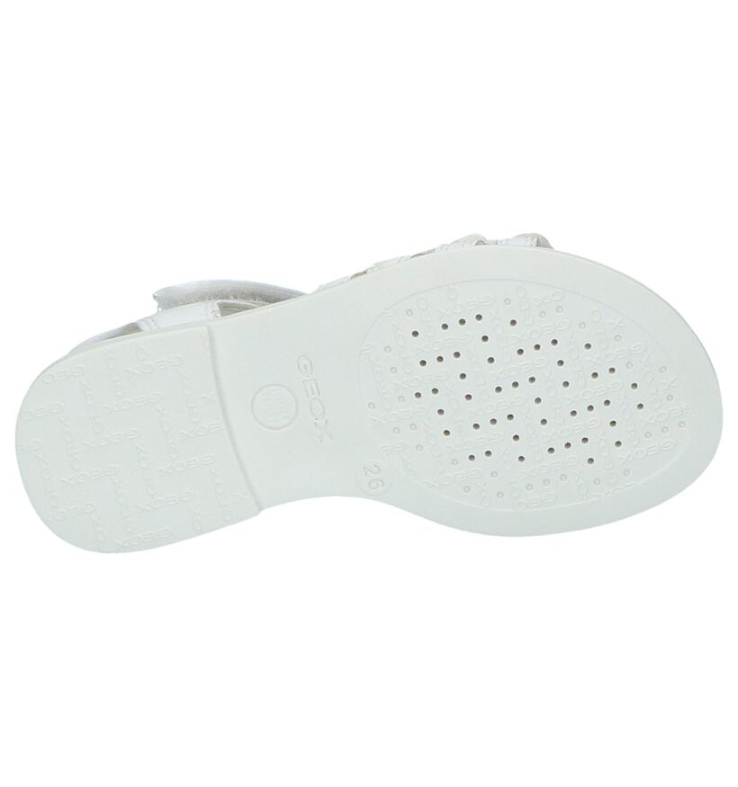 Geox Sandales en Blanc en simili cuir (244989)