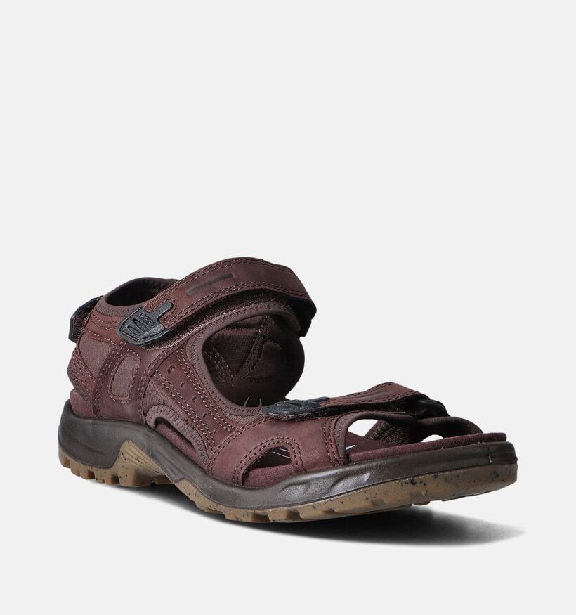 ECCO Offroad Yucatan Bruine Sandalen voor heren (353374)