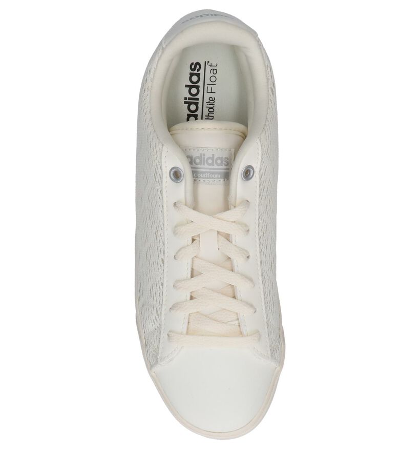 adidas Cloudfoam Daily QT CL Baskets en Écru en textile (208800)