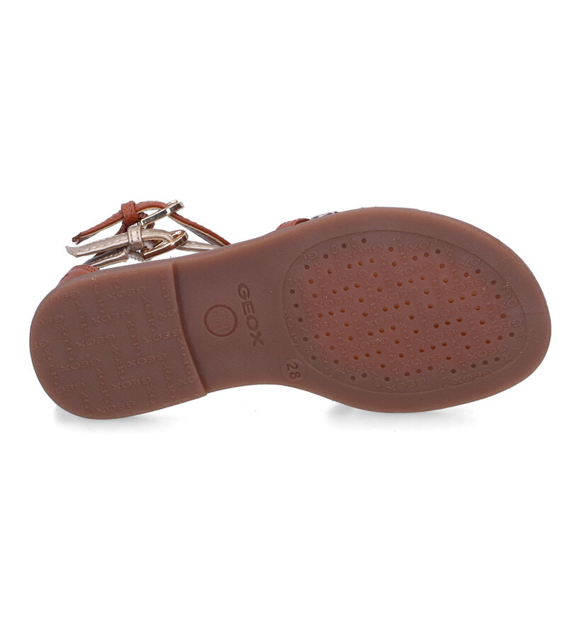 Geox Karly Sandales en Beige pour filles (304899)