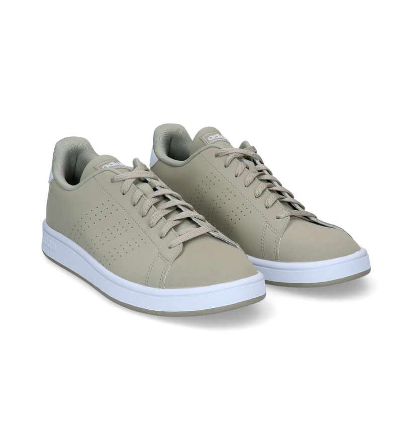 adidas Advantage Base Baskets en Blanc pour hommes (319045)