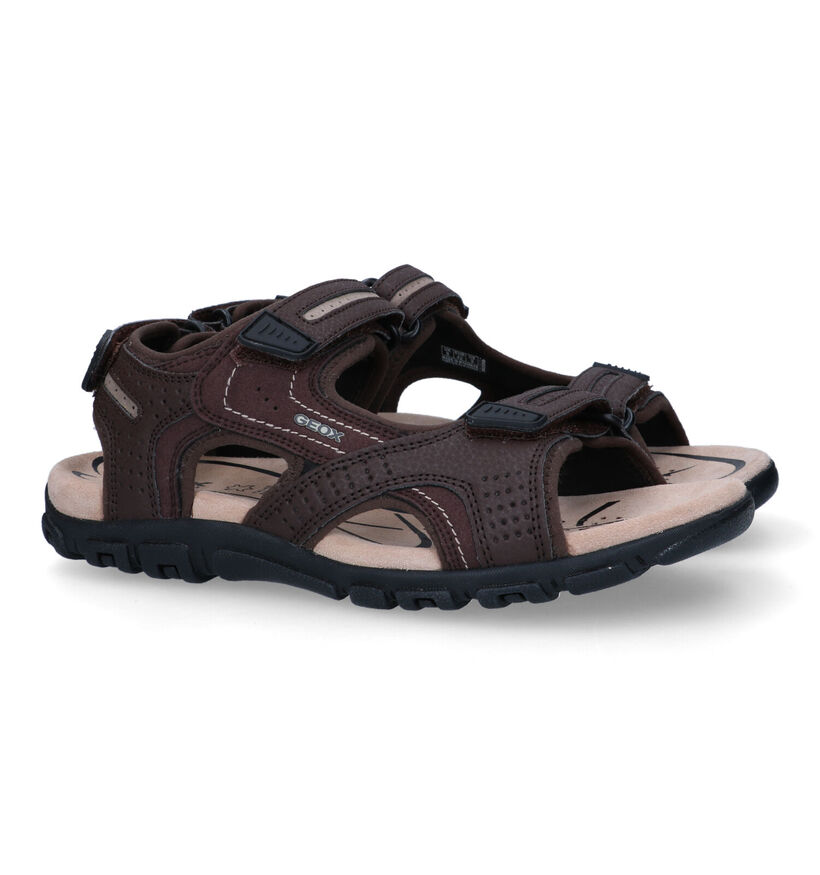 Geox Strada Bruine Sandalen in kunstleer (322257)