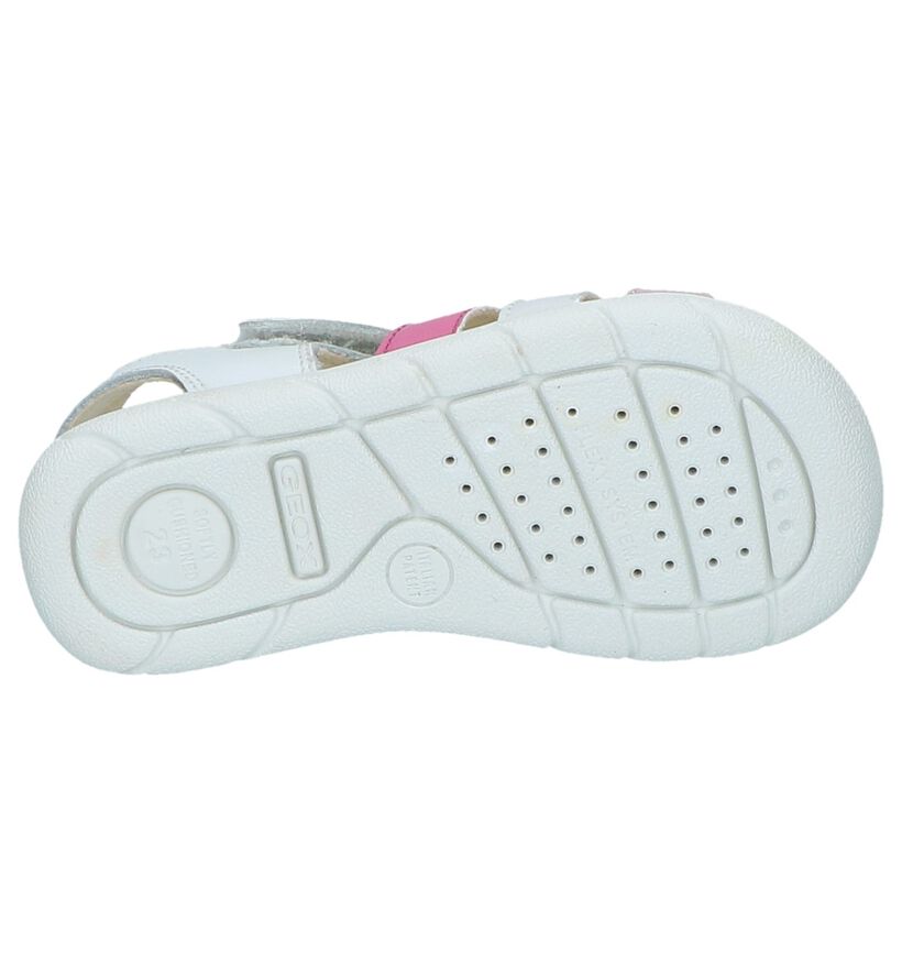 Roze Sandalen Geox in kunstleer (245030)