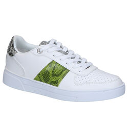 Ted Baker Coppirr Witte Sneakers