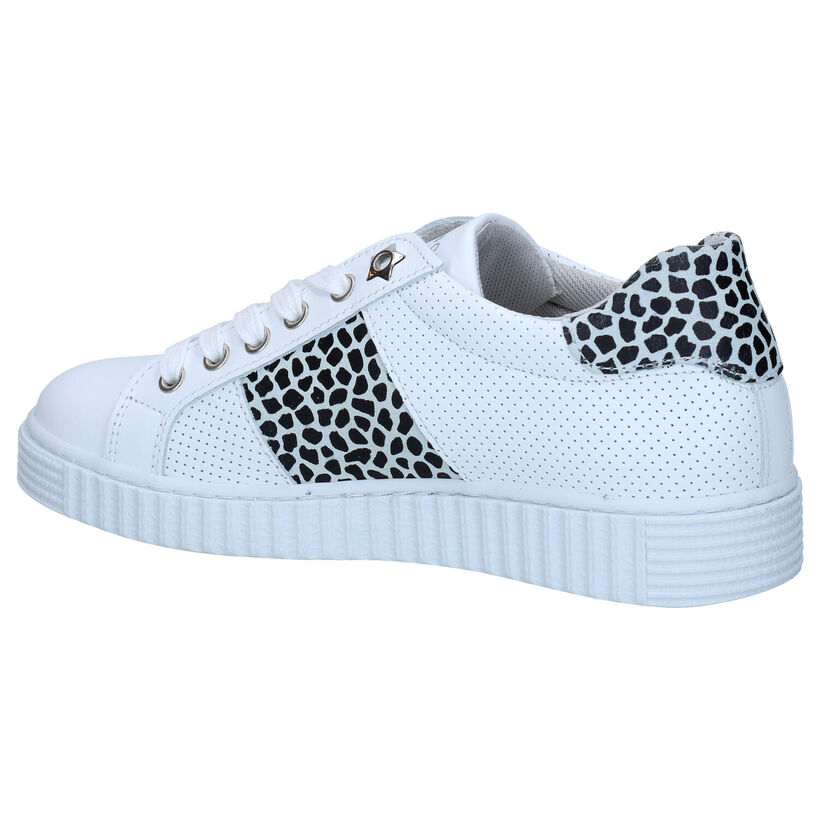 Bullboxer Baskets basses en Blanc en cuir (289314)