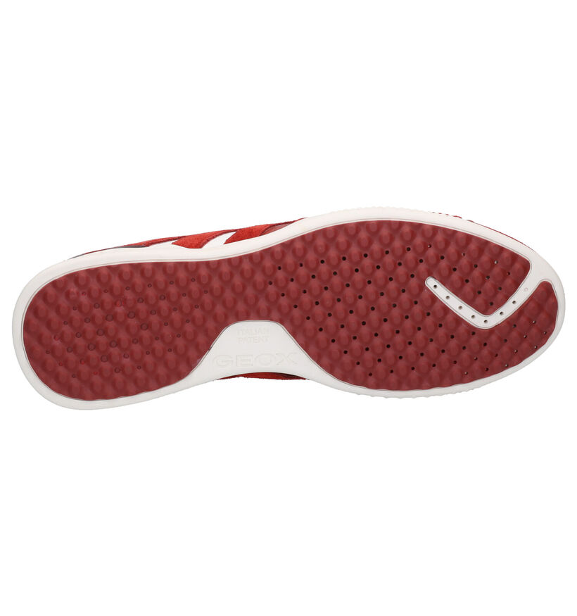 Geox Chaussures basses en Rouge foncé en cuir (270026)
