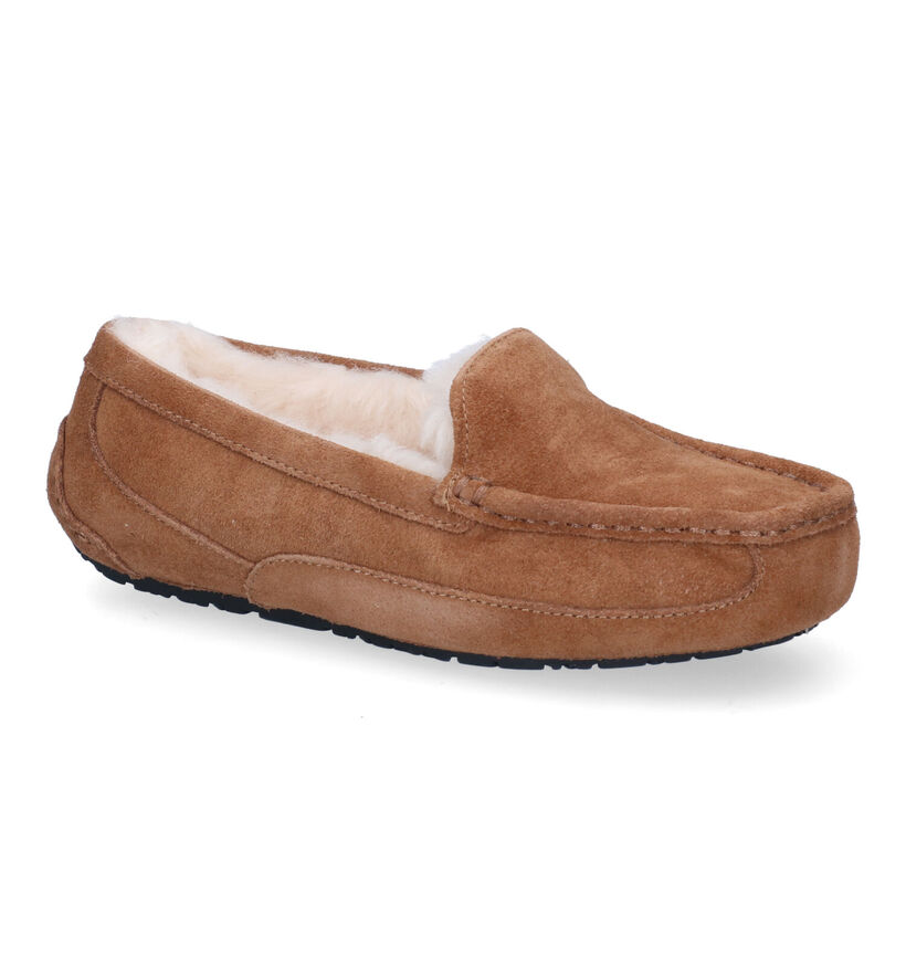 UGG Ascot Pantoufles en Cognac en nubuck (294866)