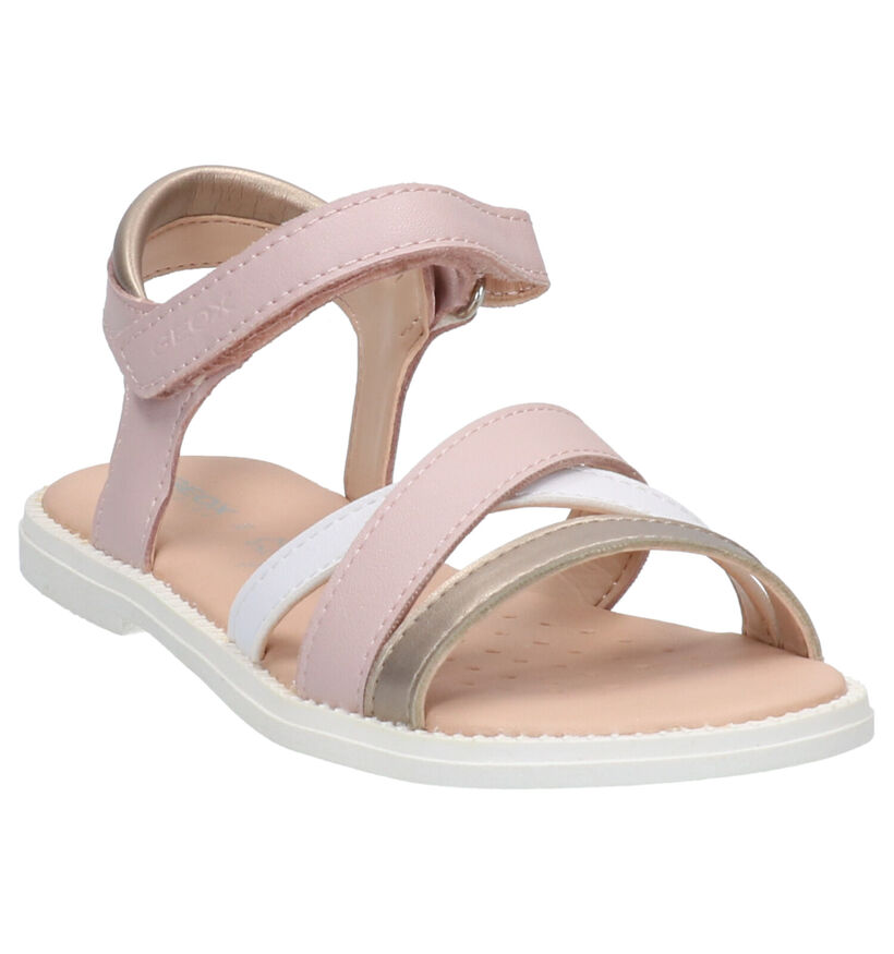 Geox Sandales en Rose en simili cuir (272374)