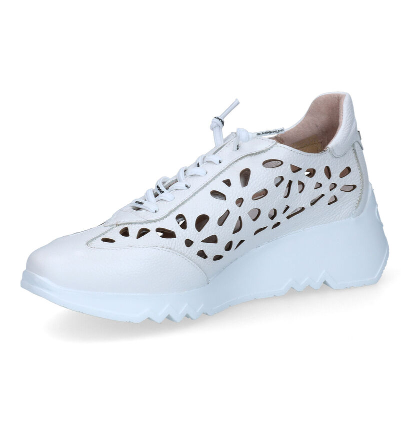Wonders Chaussures basses en Blanc en cuir (309598)
