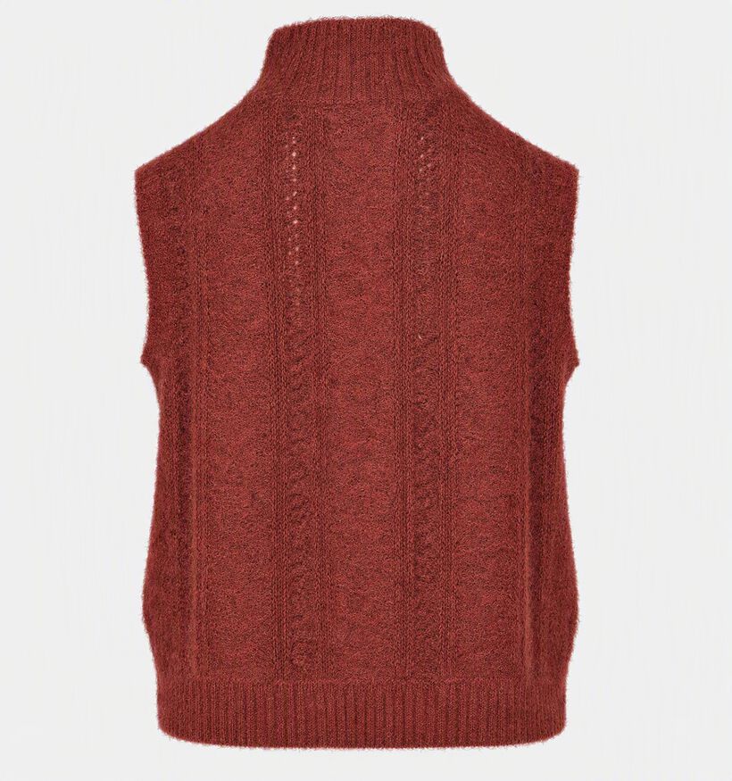 Vila Gleeba Half Zip Knit Bordeaux Mouwloze Trui voor dames (379741)
