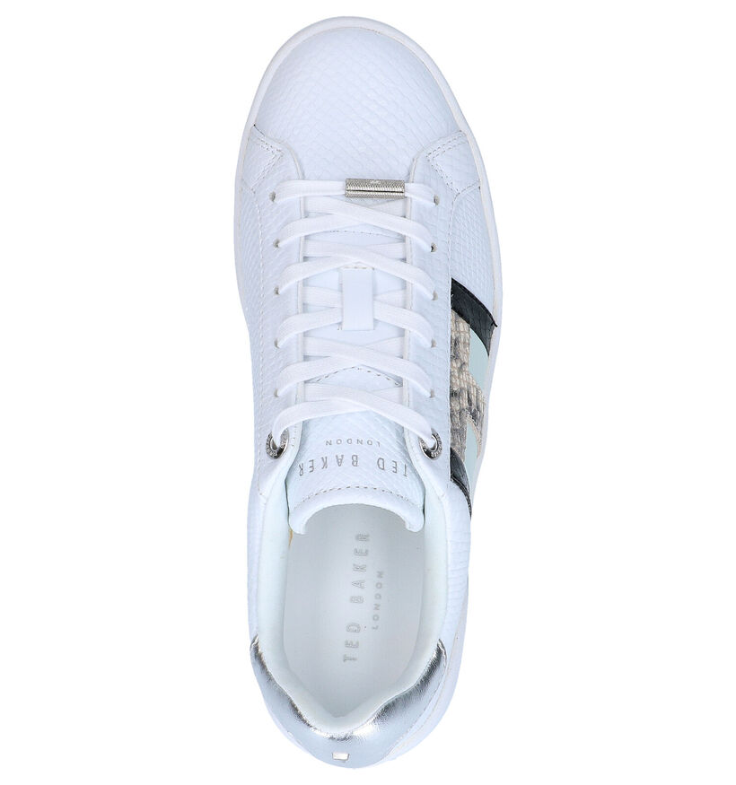 Ted Baker Tennid Witte Veterschoenen in leer (269995)