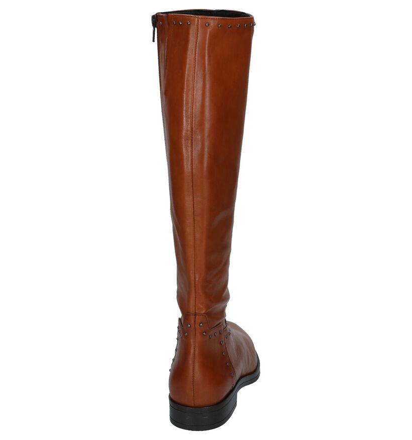 Cognac Lange Laarzen met Rits Via Limone in leer (227172)