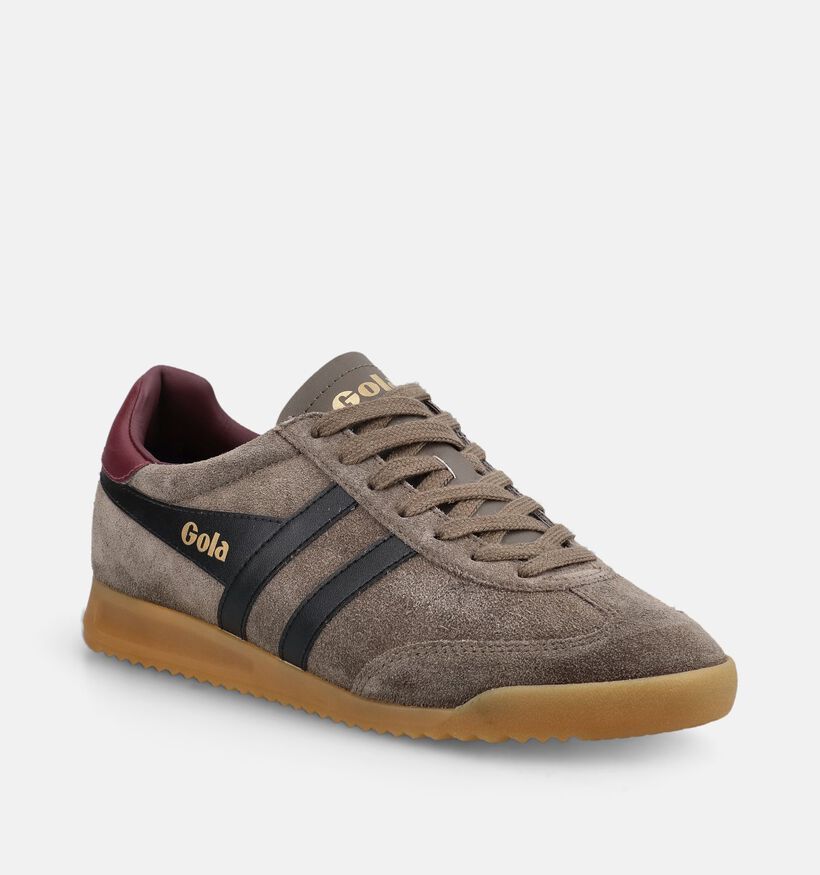Gola Torpedo Low Baskets en Vert pour hommes (376429) - pour semelles orthop&eacute;diques