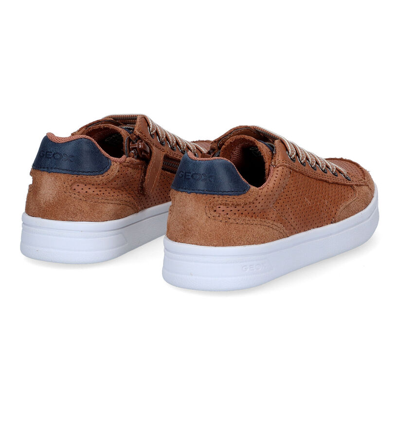 Geox Djrock Cognac Veterschoenen voor jongens (308446)