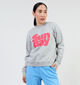 Pieces Pyra Printe Grijze Sweater voor dames (349429)