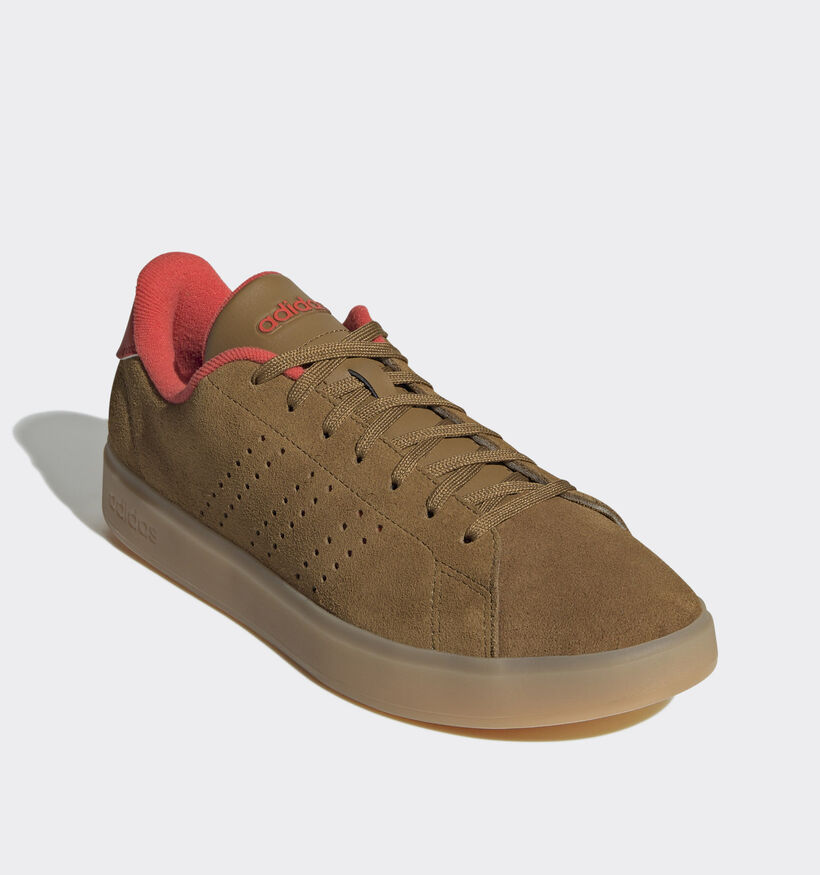 adidas Advantage 2.0 Baskets en Brun pour femmes (343337)