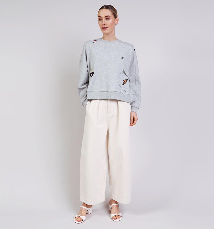 Ador&eacute; Soraya Lichtgrijze Sweater voor dames (376748)