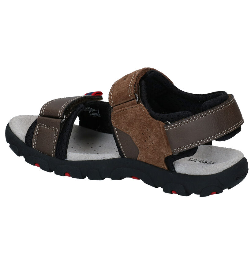 Geox Bruine Sandalen in kunstleer (286966)