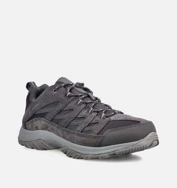 Columbia Outdoorschoenen Grijs