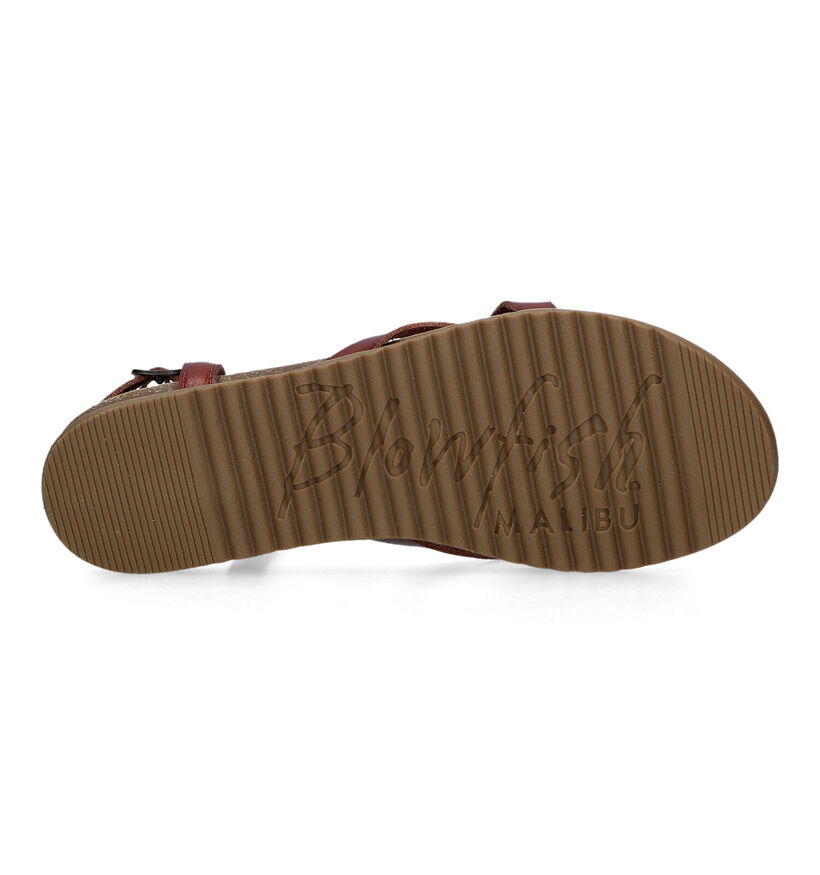 Blowfish Malibu Mirenda Sandales en Cognac pour femmes (322136)