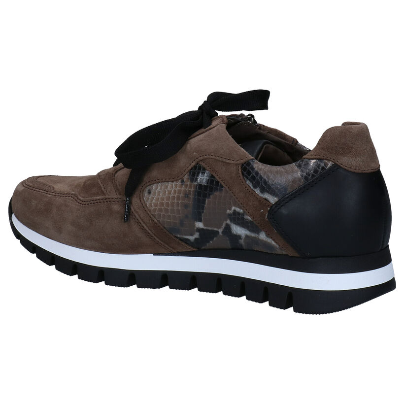 Gabor OptiFit Chaussures à lacets en Orange en nubuck (282469)