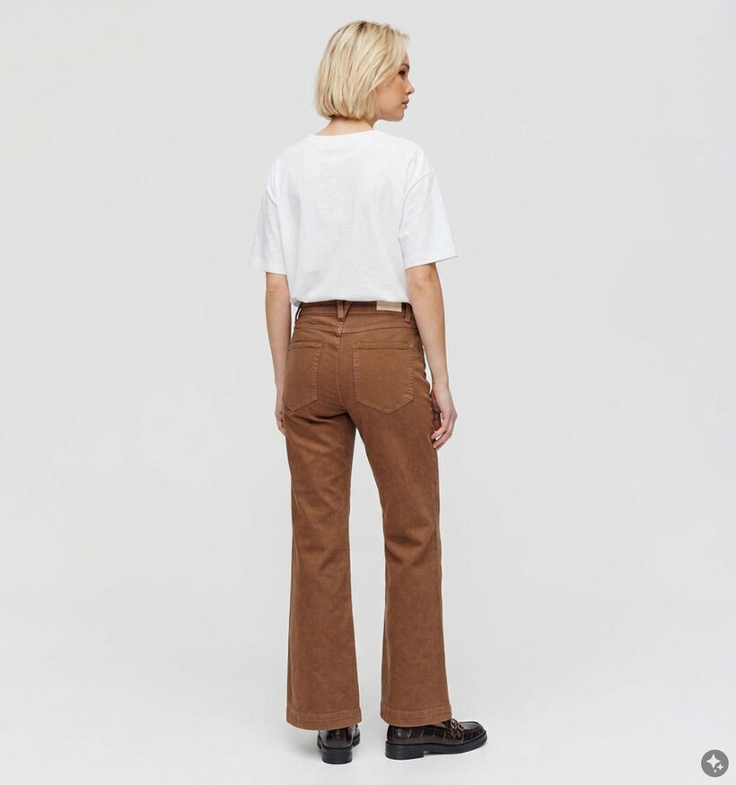Desires Florence Donkerbruine Geklede Broek voor dames (379182)