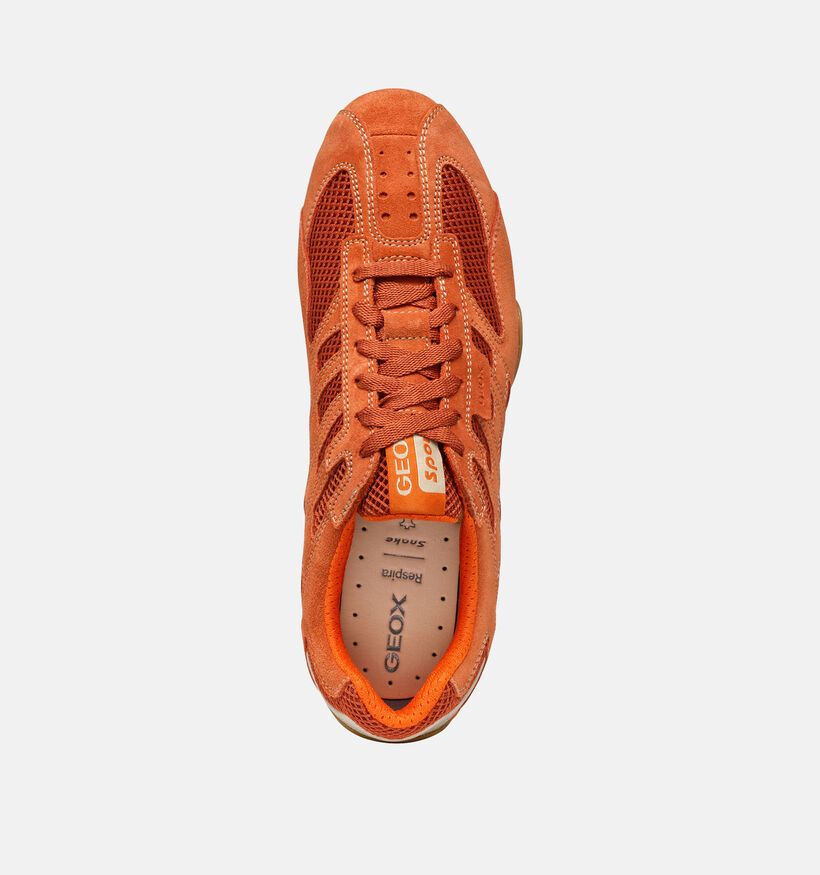 Geox Snake Original Baskets en Orange pour hommes (367982) - pour semelles orthop&eacute;diques