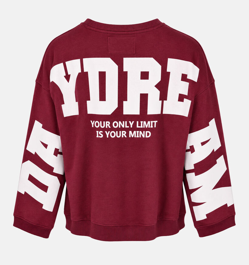 The Shirt Project Bordeaux Sweater voor dames (381882)