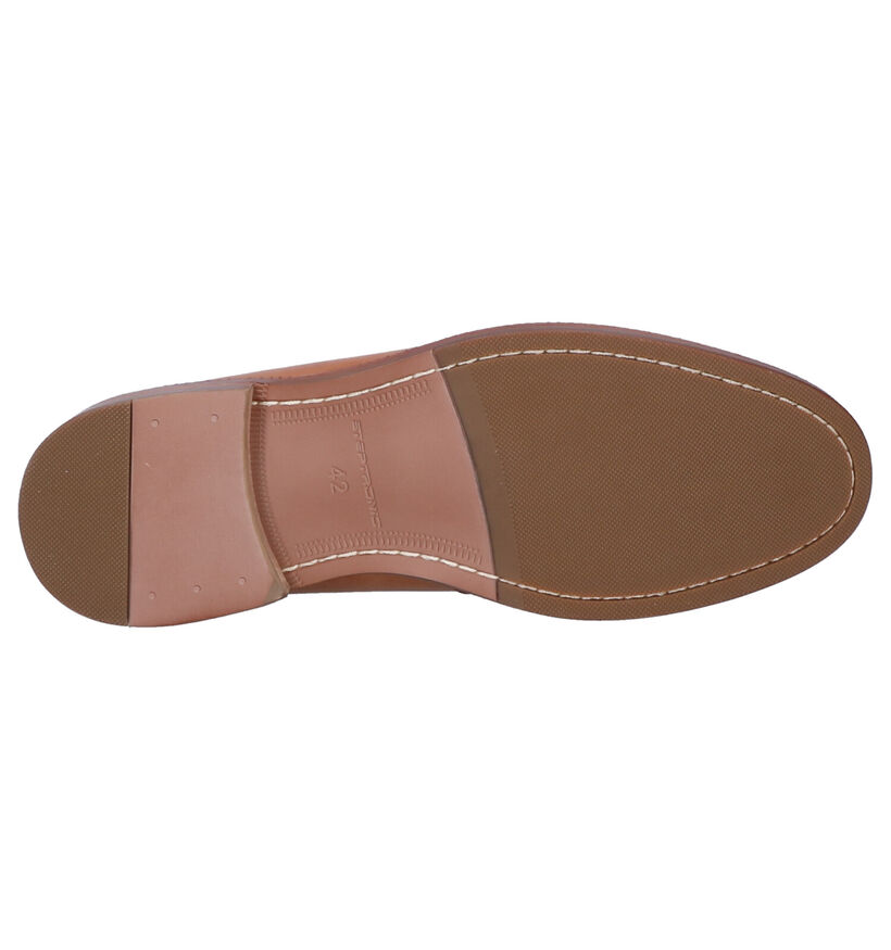 Steptronic Banbury Cognac Geklede Veterschoenen in leer (259268)