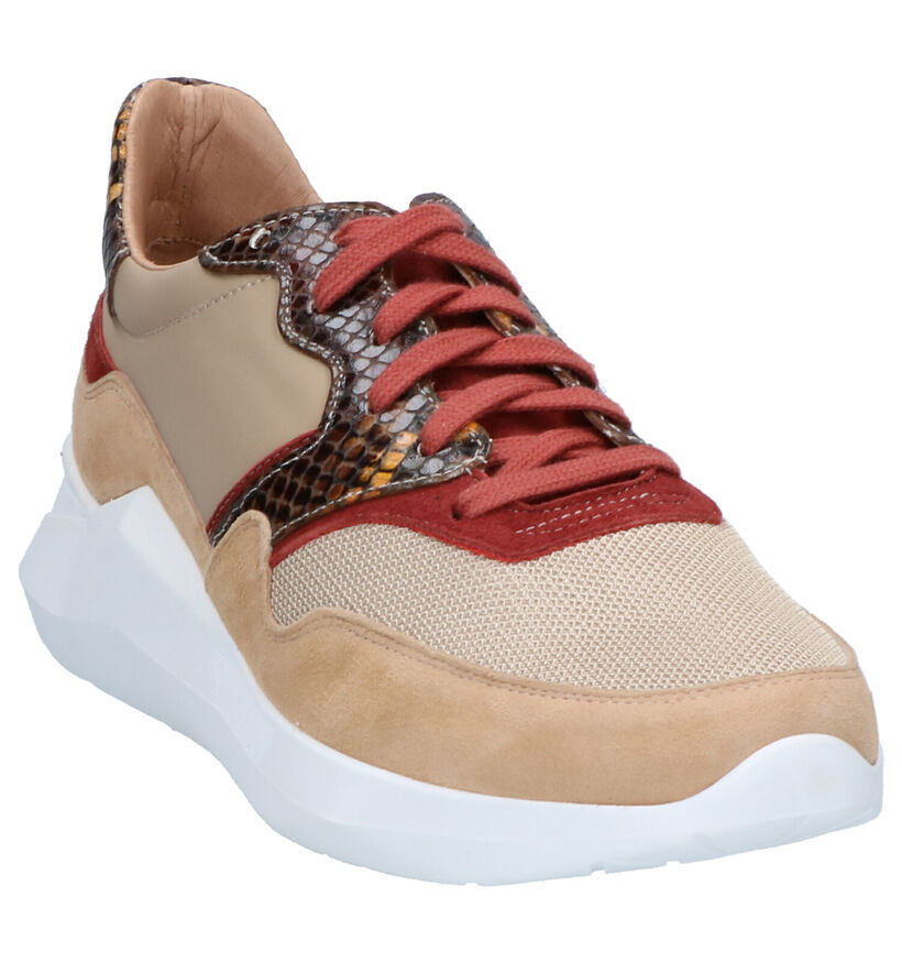 Frida Faith Beige Sneakers in daim (262445)