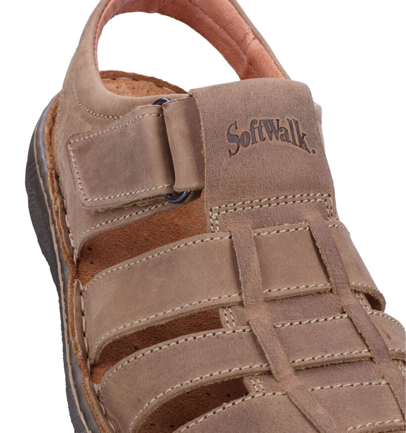 Softwalk Sandales en Taupe pour hommes (341941)
