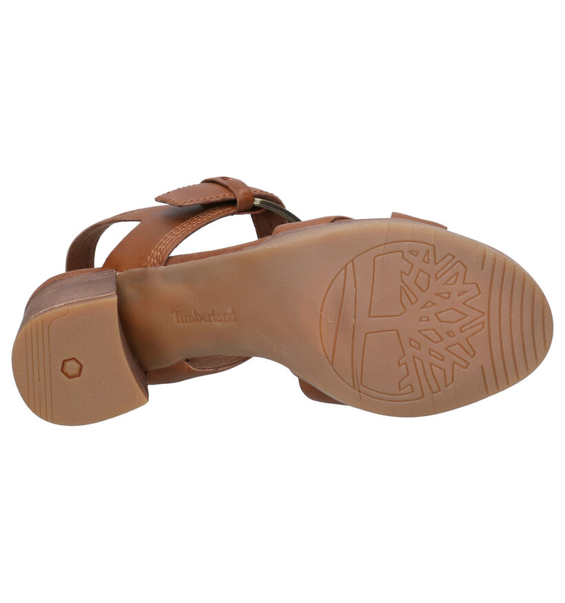 Timberland Tallulah May Zwarte Sandalen in leer (267386)