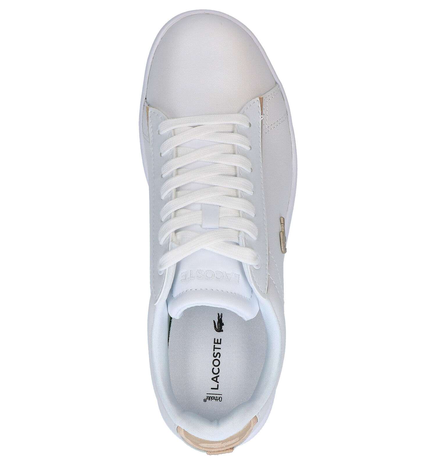 Lacoste Carnaby Evo Witte Sneakers Dames Sneakers Online op TORFS.BE