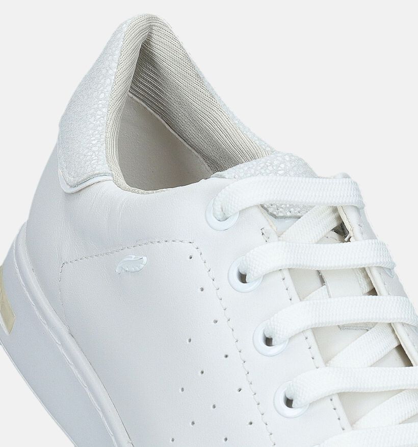 Geox Jaysen Witte Sneakers voor dames (335661) - geschikt voor steunzolen