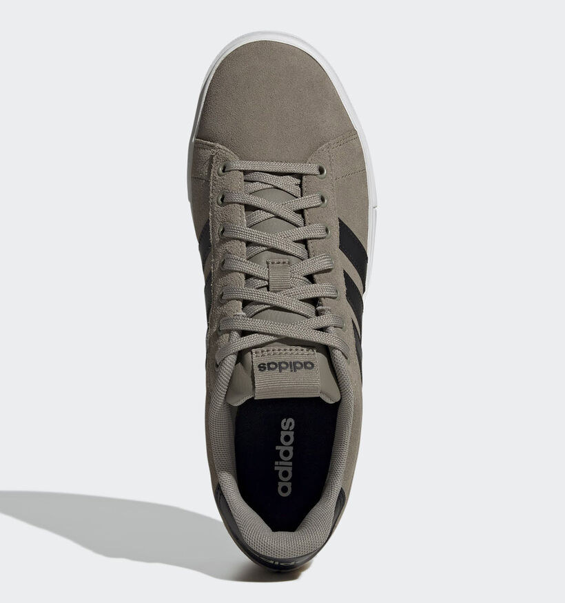 adidas Daily 4.0 Baskets basses en Vert Kaki pour hommes (372597)
