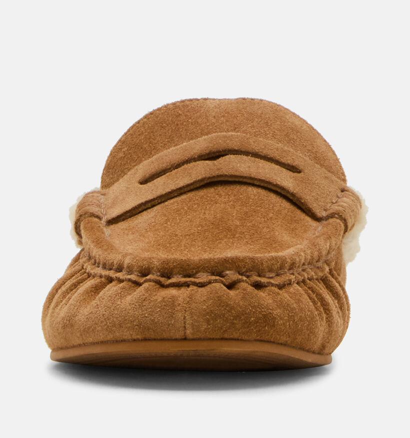 Steve Madden Rafe Loafers en Cognac pour femmes (378155)