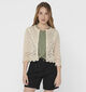 JDY Sun Beige Crochet cardigan voor dames (353256)