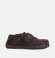 Warmbat Smithon Pantoufles en Marron fonc&eacute; pour hommes (379318)