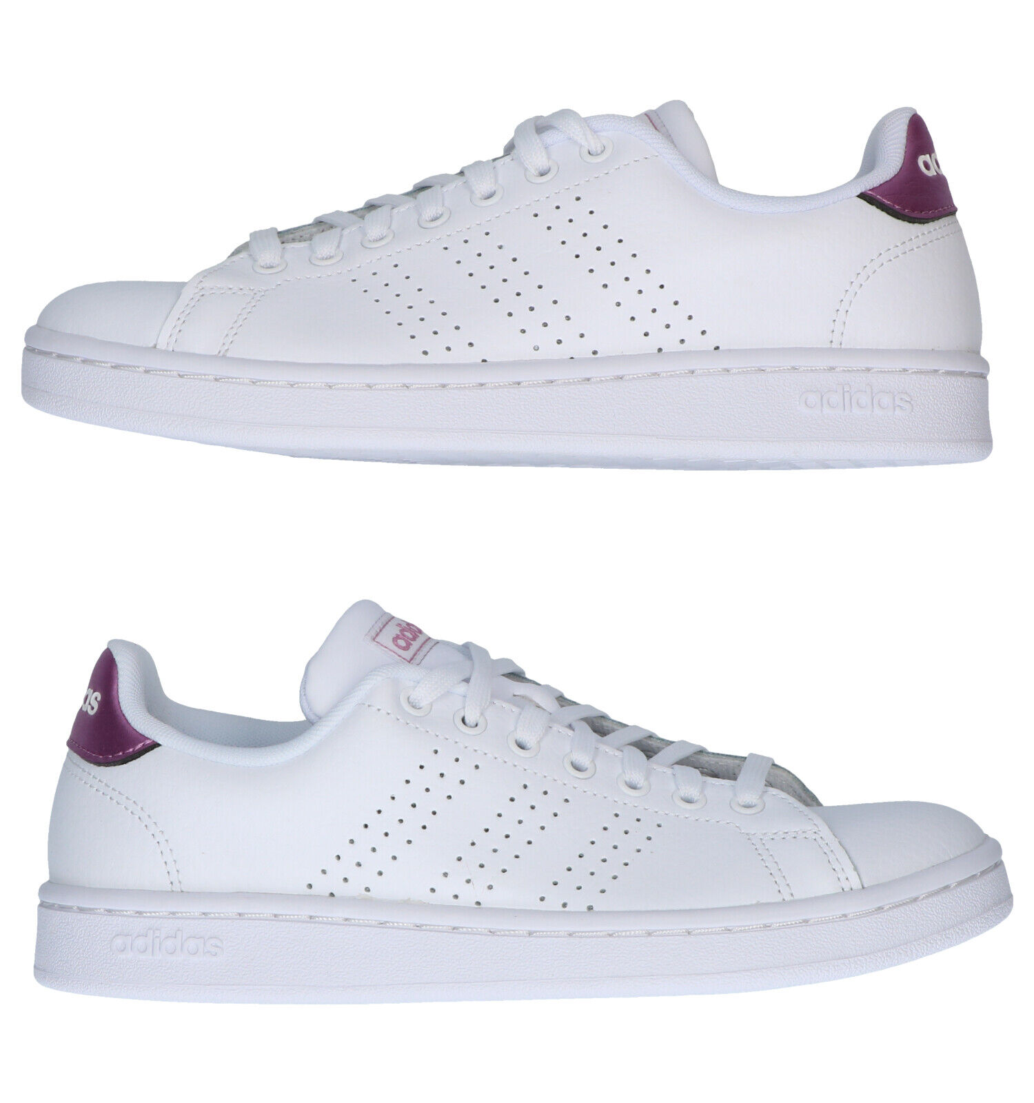 adidas Advantage Baskets en Blanc Femmes Baskets en ligne sur TORFS.BE