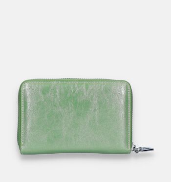 Laurent David Petite maroquinerie Vert/Argent