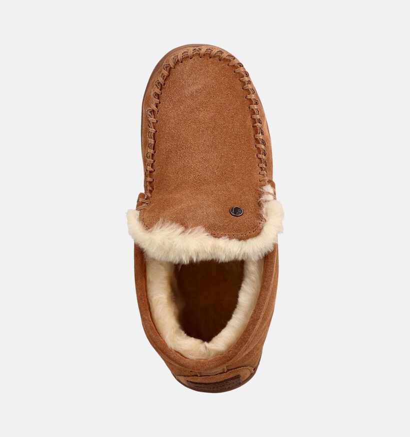 Warmbat Rewan Pantoufles en Cognac pour hommes (379314)