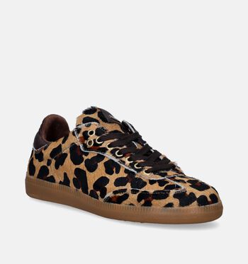 Scapa Sneakers Bruin