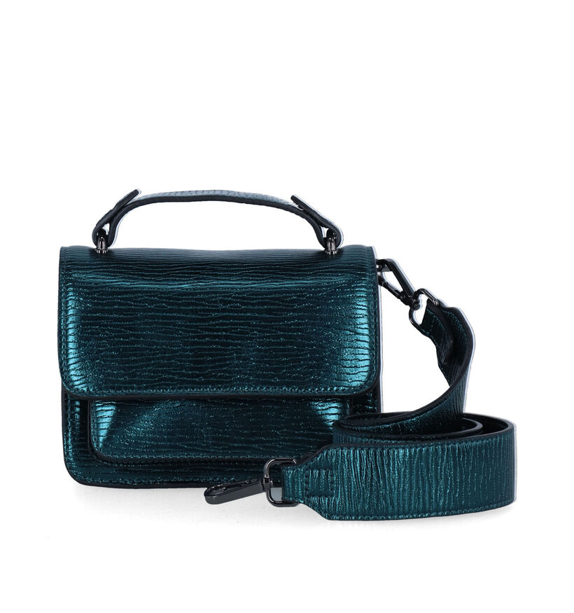 Hvisk Renei Metallic Groene Crossbody Tas voor dames (316679)