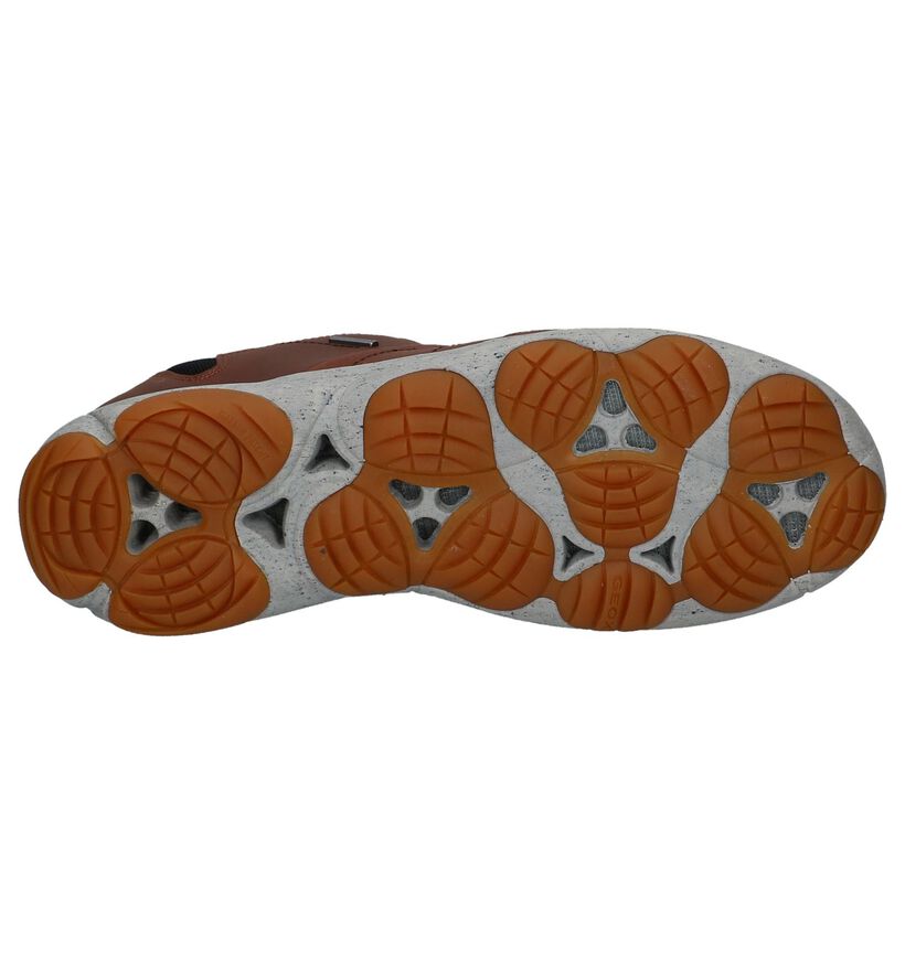 Geox Nebula Zwarte Casual Schoenen in stof (223483)