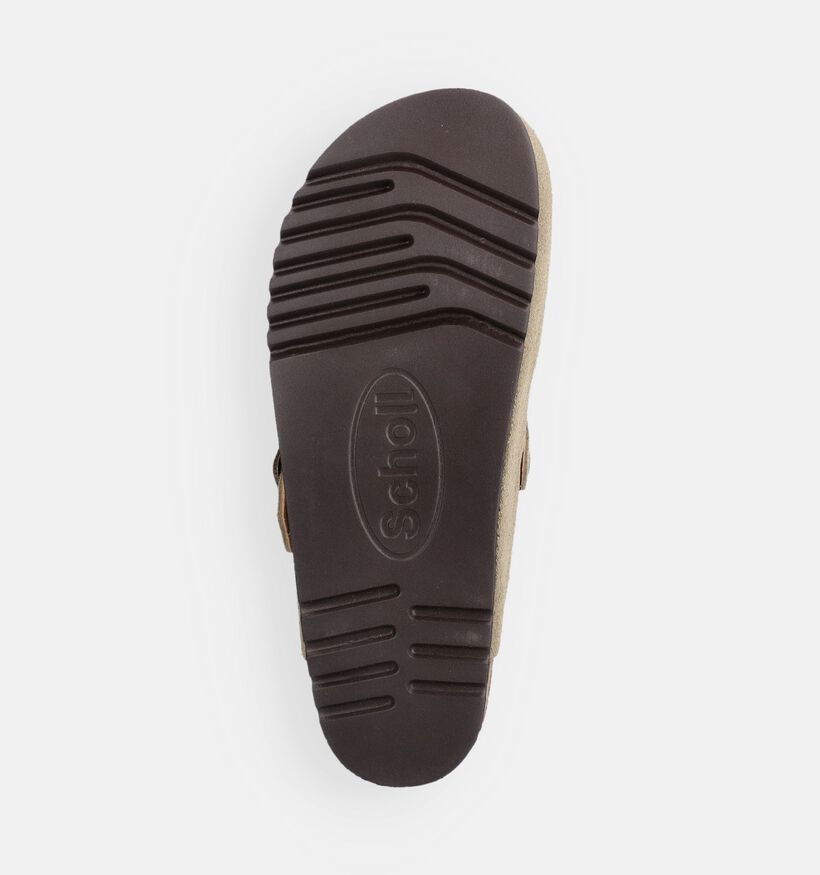 Scholl Fae Groene Slippers voor dames (369857)