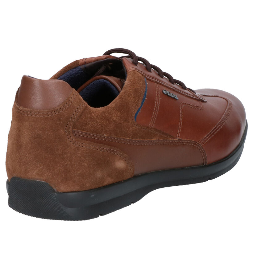 Geox Adrien Chaussures Basses en Cognac en simili cuir (255360)