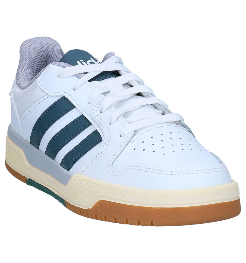 adidas Entrap Witte Sneakers in kunstleer (276466)